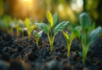 Earth Summit 2025–26 to Boost Rural Innovation in India